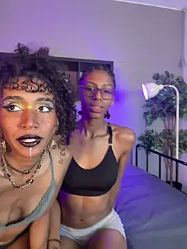 lynx sun online show from 02-04-26, 09:43