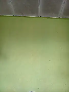 phumlanisanka online show from 11-15-25, 07:56