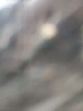 Arya85 online show from 11-13-25, 03:43