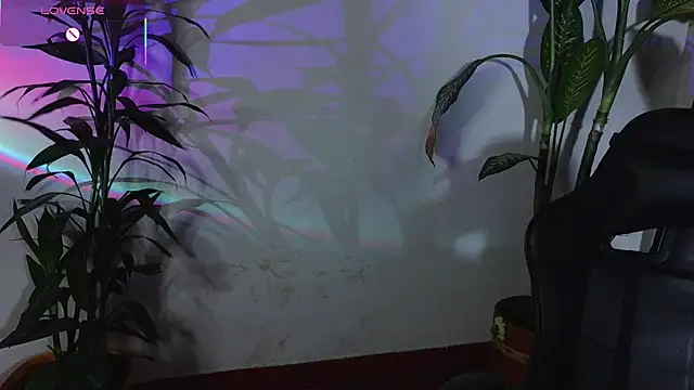 bri von dhara   online show from 04-12-26, 10:46