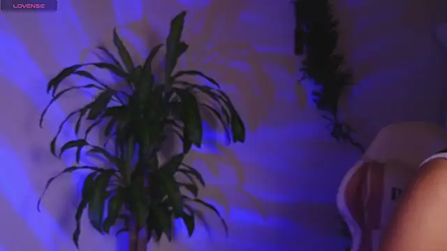 Snapshot of bri_von_dhara__ chatting on 04-26-26, 01:47 bri von dhara online show from 04-26-26, 01:47