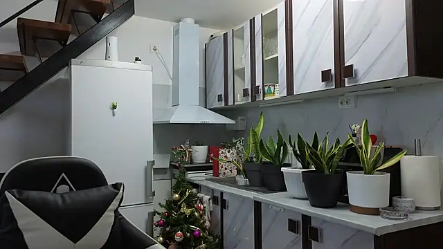 RyanStorm  online show from 01-10-26, 02:34