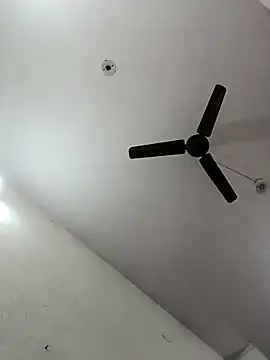 Appypie online show from 12-23-25, 06:34