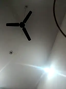 Appypie online show from 11-18-25, 05:44