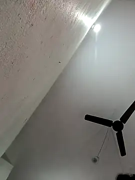 Appypie online show from 11-11-25, 05:46