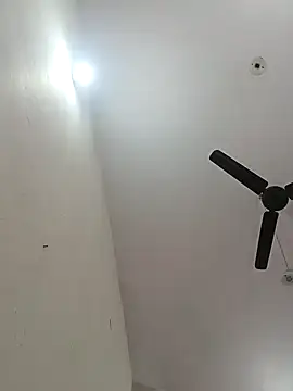 Appypie online show from 12-03-25, 07:41