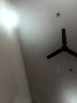 Appypie online show from 11-08-25, 05:55