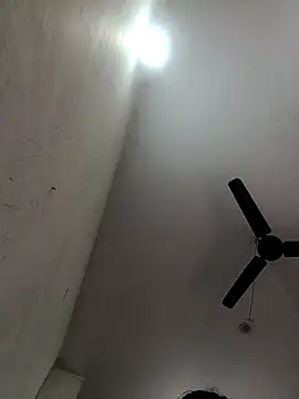 Appypie online show from 12-02-25, 05:42