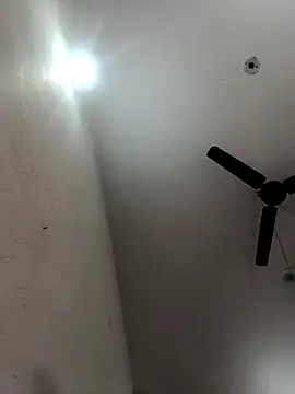 Appypie online show from 12-05-25, 06:01