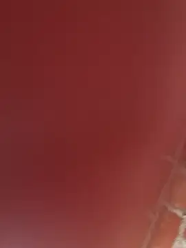 RAKEL37 online show from 11-23-25, 04:17