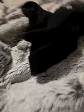 bigdicksklave online show from 10-31-25, 07:54