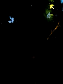 Lisa pusy online show from 09-14-25, 10:32