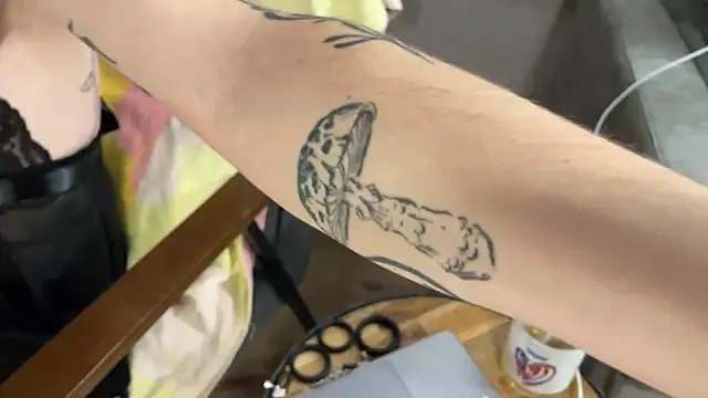 NoaTender online show from 01-09-26, 06:48