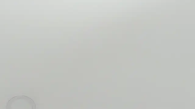 scarletross  online show from 02-26-26, 02:39