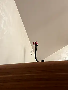 ladywithbigass online show from 11-20-25, 05:52