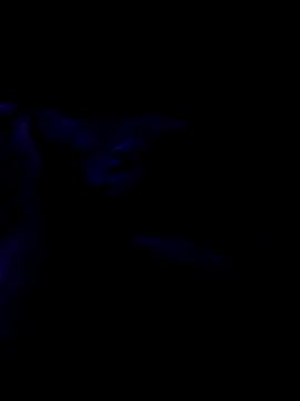 Snapshot of Norbi30 chatting on 10-21-25, 09:03 Norbi30 online show from 10-21-25, 09:03