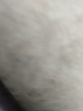 Yhnist34 online show from 09-18-25, 01:08