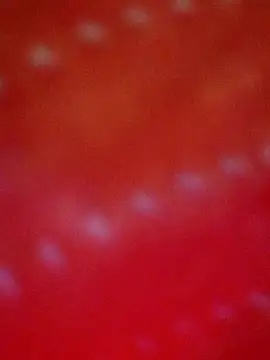 Snapshot of hotmahitha chatting on 08-07-26, 03:51 hotmahitha online show from 08-07-26, 03:51