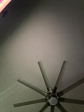 Scattyboo online show from 12-21-25, 07:54