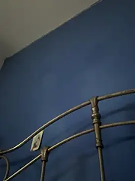 stevo170t online show from 12-14-25, 03:17