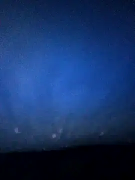 Snapshot of kelvinjesus34 chatting on 08-03-26, 03:03 kelvinjesus34 online show from 08-03-26, 03:03