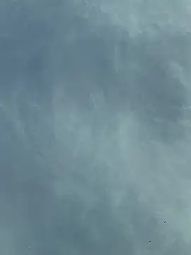 Snapshot of camboys_poyraz chatting on 11-18-25, 01:03 camboys poyraz online show from 11-18-25, 01:03