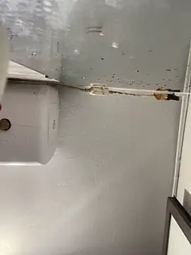 Snapshot of Pyy07 chatting on 02-20-26, 11:56 Pyy07 online show from 02-20-26, 11:56