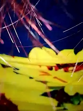 Snapshot of DarkLoverVI chatting on 12-19-25, 02:48 DarkLoverVI online show from 12-19-25, 02:48