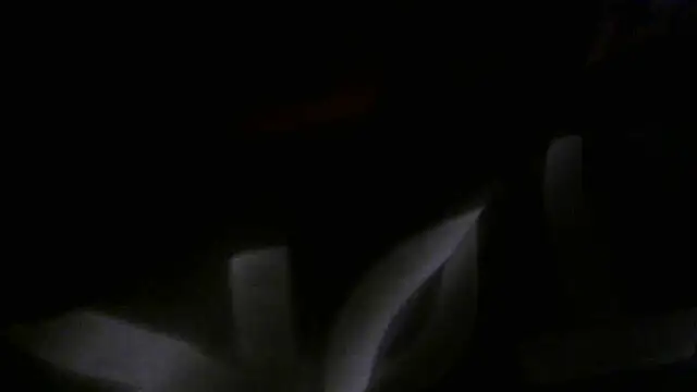 crassanova online show from 04-22-26, 12:34