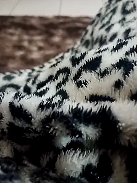 Gauderio40 online show from 11-21-25, 04:11