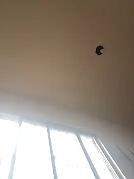 Snapshot of Katianesantos chatting on 03-01-26, 01:55 Katianesantos online show from 03-01-26, 01:55