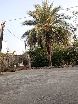 monu bhabi online show from 02-10-26, 02:54