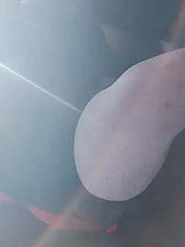 big teddy98 online show from 01-07-26, 02:55