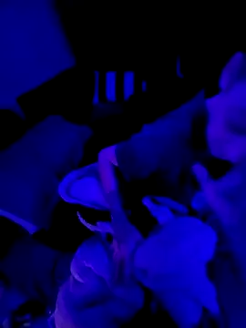 Snapshot of Ghost_Face803 chatting on 03-03-26, 06:42 Ghost Face803 online show from 03-03-26, 06:42