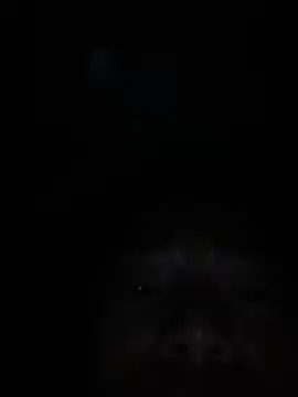 Nabi sexy online show from 03-19-26, 02:39