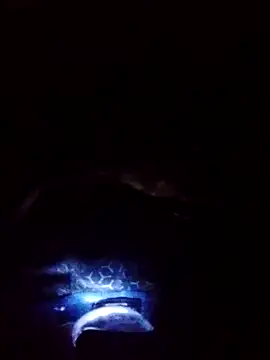 gostoso delas 2 online show from 09-17-25, 04:20