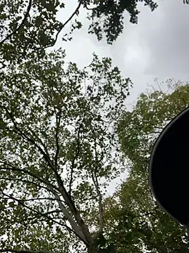 GeilerHSVFAN1989 online show from 10-16-25, 01:41