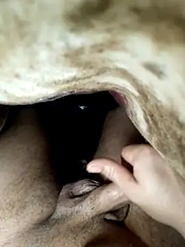 radois54 online show from 02-11-26, 04:45