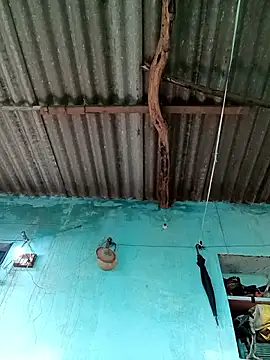 Snapshot of Hot-honi chatting on 09-21-25, 11:48 Hot-honi online show from 09-21-25, 11:48