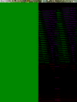 Hot-honi online show from 11-17-25, 10:19