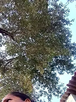 Hot-honi online show from 01-10-26, 11:16