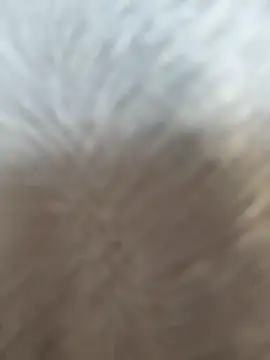 VendiMur online show from 03-27-26, 01:03