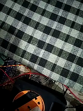 sexy  girls98 online show from 11-11-25, 07:52