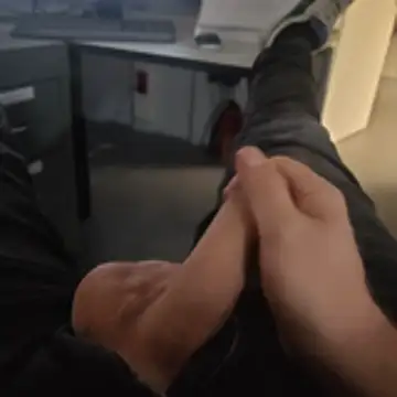 stunning stallion online show from 10-23-25, 09:35