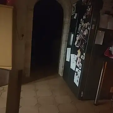 stunning stallion online show from 04-02-26, 12:18