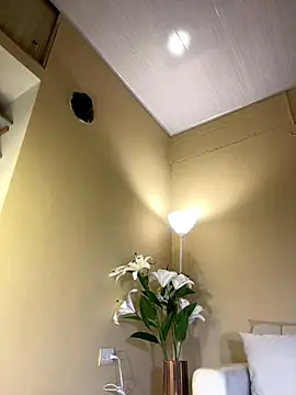 RedVelvet Dream online show from 12-23-25, 04:12