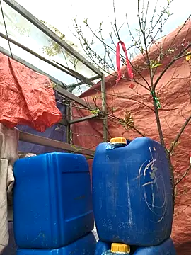 liu-liusexy online show from 02-19-26, 08:22