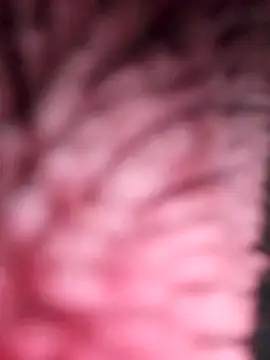 simi-lucy online show from 11-28-25, 01:11