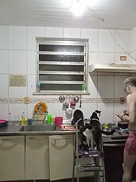 dinho carioca online show from 04-02-26, 04:52