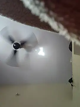 Silk Smitha 27 online show from 11-02-25, 05:34